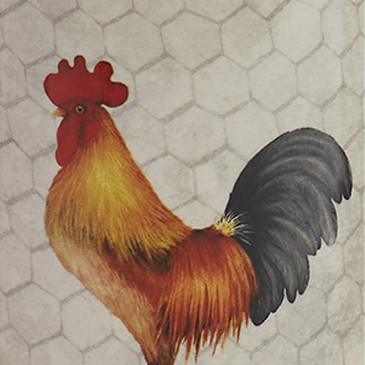 Break Of Day Rooster Set of 3 Canister Set Park Designs