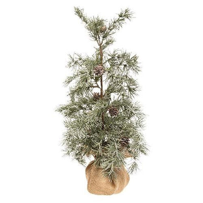 Weeping Pine Tree w/Burlap Base, 22