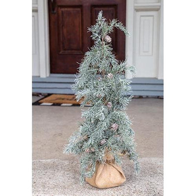 Weeping Pine Tree w/Burlap Base, 30