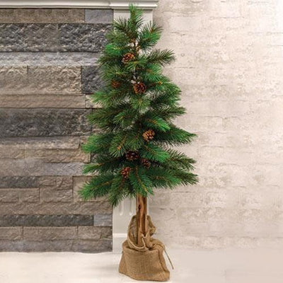 Royal Oregon Pine Tree With Burlap Base, 36