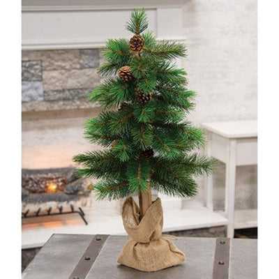 Royal Oregon Pine Tree With Burlap Base, 30