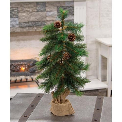 Royal Oregon Pine Tree With Burlap Base, 24