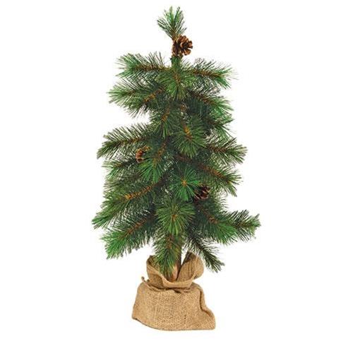 Royal Oregon Pine Tree With Burlap Base, 24"