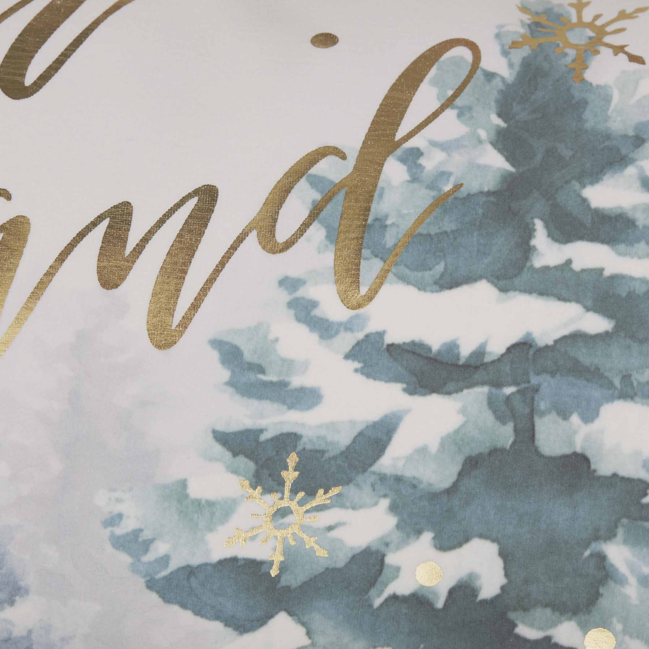 Winter Wonderland Pillow 14x22 VHC Brands