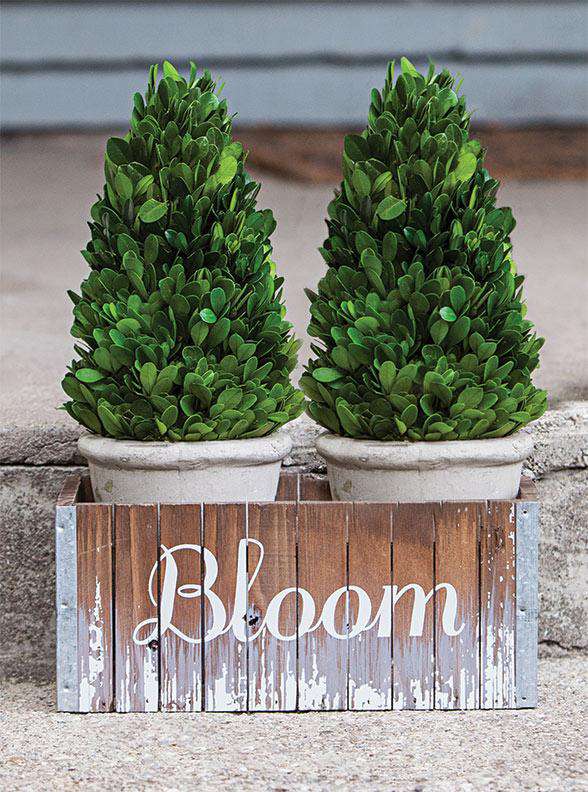 Bloom Flower Box Wood CWI+ 