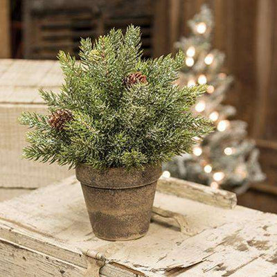 Frosted Spruce Sphere w/Pot, 9