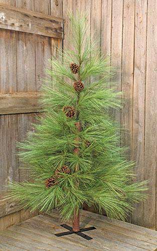 Long Needle Pine Tree 6 ft Pine CWI+ 