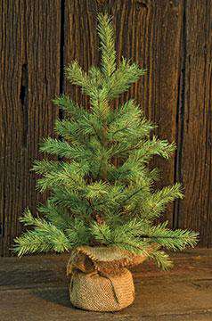Rocky Mountain Pine Tree, 18" Christmas CWI+ 